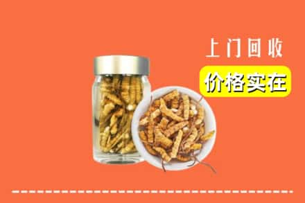 收购资讯:海南省琼海市回收散虫草