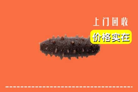 收购资讯:海南省琼海市回收海参